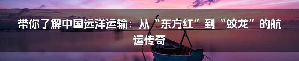 带你了解中国远洋运输:从“东方红”到“蛟龙”的航运传奇