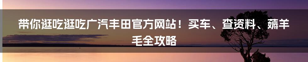 带你逛吃逛吃广汽丰田官方网站!买车、查资料、薅羊毛全攻略