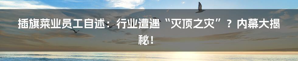 插旗菜业员工自述:行业遭遇“灭顶之灾”?内幕大揭秘!