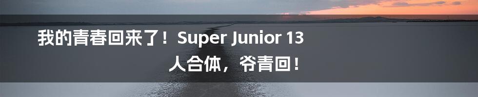 我的青春回来了！Super Junior 13 人合体，爷青回！