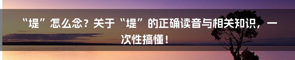 “堤”怎么念？关于“堤”的正确读音与相关知识，一次性搞懂！