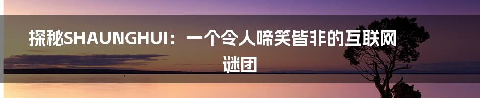 探秘SHAUNGHUI：一个令人啼笑皆非的互联网谜团