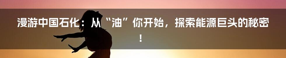 漫游中国石化:从“油”你开始,探索能源巨头的秘密!