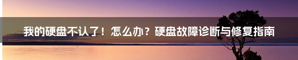 我的硬盘不认了!怎么办?硬盘故障诊断与修复指南