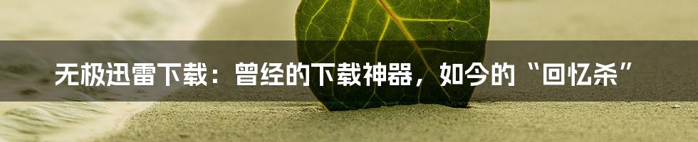 无极迅雷下载:曾经的下载神器,如今的“回忆杀”