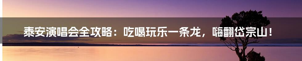 泰安演唱会全攻略：吃喝玩乐一条龙，嗨翻岱宗山！