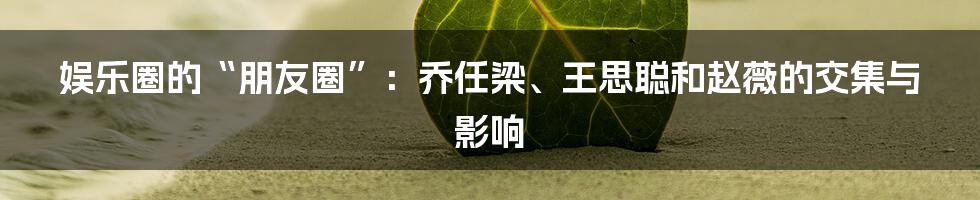 娱乐圈的“朋友圈”:乔任梁、王思聪和赵薇的交集与影响