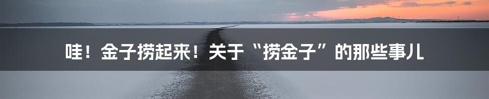 哇！金子捞起来！关于“捞金子”的那些事儿