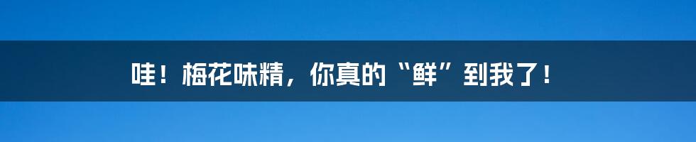 哇!梅花味精,你真的“鲜”到我了!