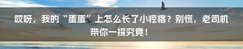 哎呀,我的“蛋蛋”上怎么长了小疙瘩?别慌,老司机带你一探究竟!