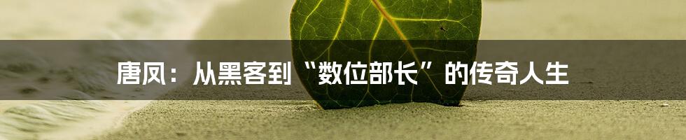 唐凤:从黑客到“数位部长”的传奇人生