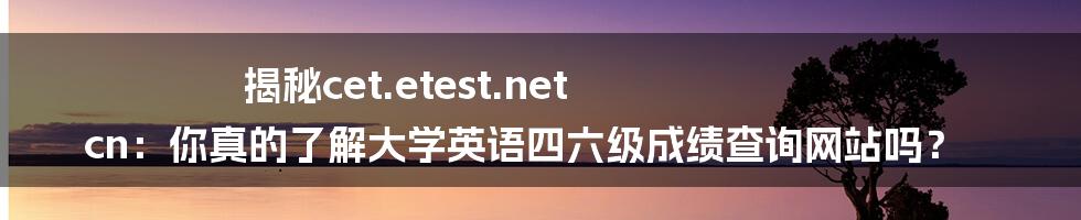 揭秘cet.etest.net cn:你真的了解大学英语四六级成绩查询网站吗?