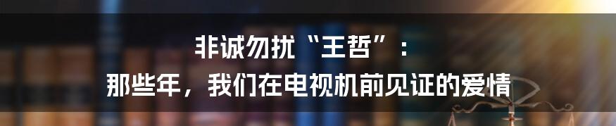 非诚勿扰“王哲”: 那些年,我们在电视机前见证的爱情