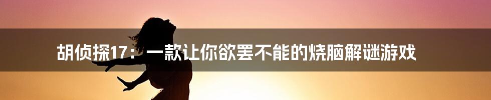 胡侦探17:一款让你欲罢不能的烧脑解谜游戏