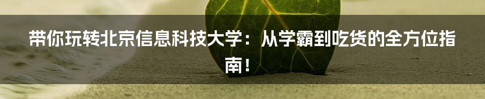 带你玩转北京信息科技大学:从学霸到吃货的全方位指南!