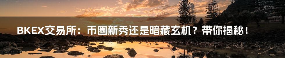 BKEX交易所:币圈新秀还是暗藏玄机?带你揭秘!