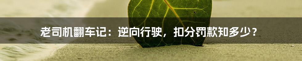 老司机翻车记:逆向行驶,扣分罚款知多少?