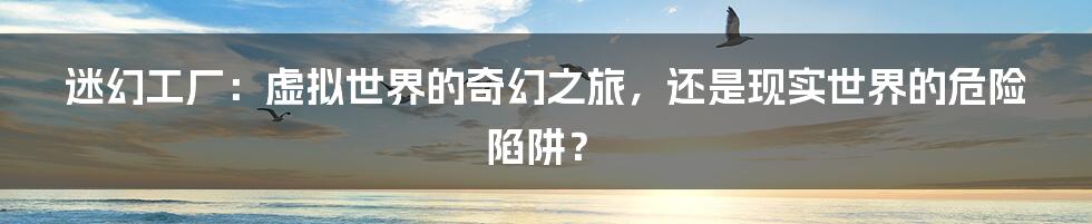 迷幻工厂：虚拟世界的奇幻之旅，还是现实世界的危险陷阱？