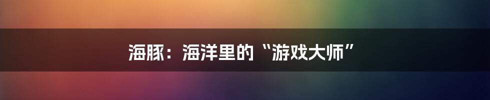 海豚:海洋里的“游戏大师”