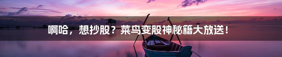 啊哈，想抄股？菜鸟变股神秘籍大放送！