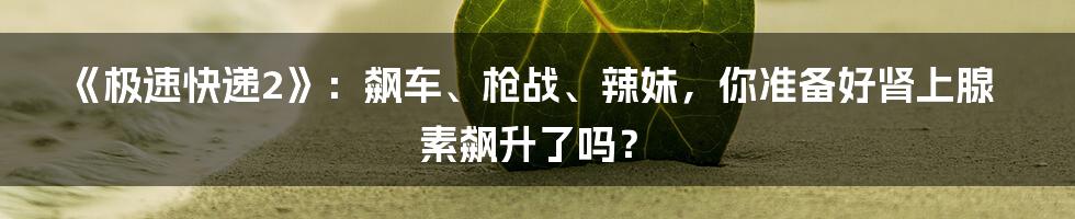 《极速快递2》:飙车、枪战、辣妹,你准备好肾上腺素飙升了吗?