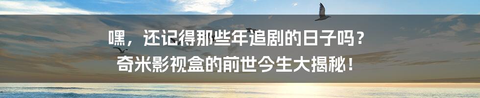 嘿，还记得那些年追剧的日子吗？ 奇米影视盒的前世今生大揭秘！