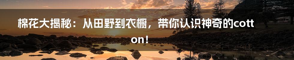 棉花大揭秘:从田野到衣橱,带你认识神奇的cotton!