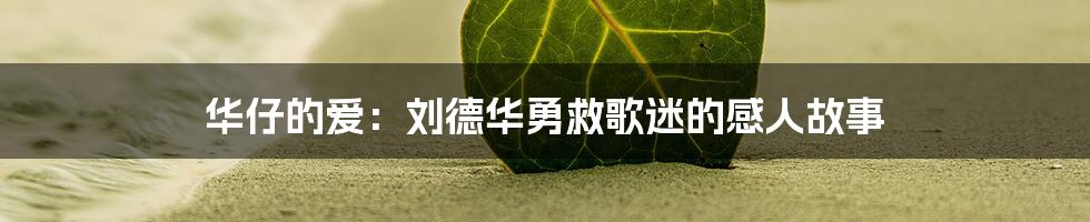 华仔的爱:刘德华勇救歌迷的感人故事