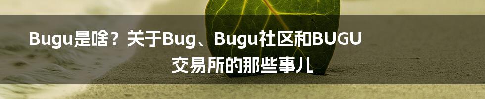 Bugu是啥?关于Bug、Bugu社区和BUGU交易所的那些事儿