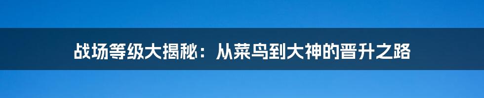 战场等级大揭秘:从菜鸟到大神的晋升之路