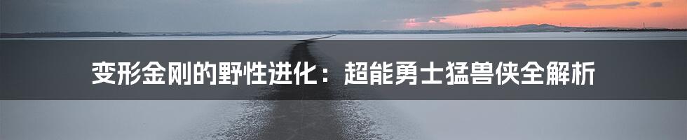 变形金刚的野性进化：超能勇士猛兽侠全解析