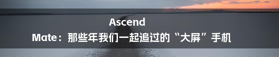 Ascend Mate:那些年我们一起追过的“大屏”手机