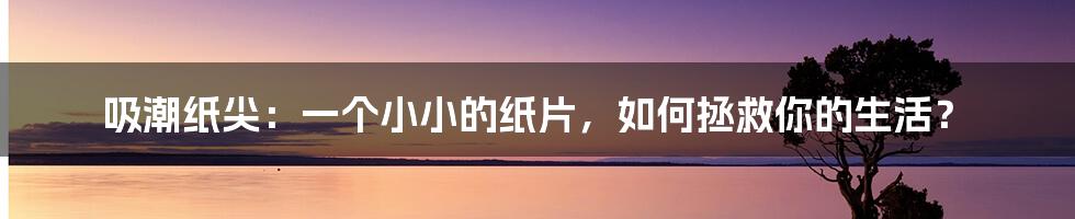 吸潮纸尖：一个小小的纸片，如何拯救你的生活？