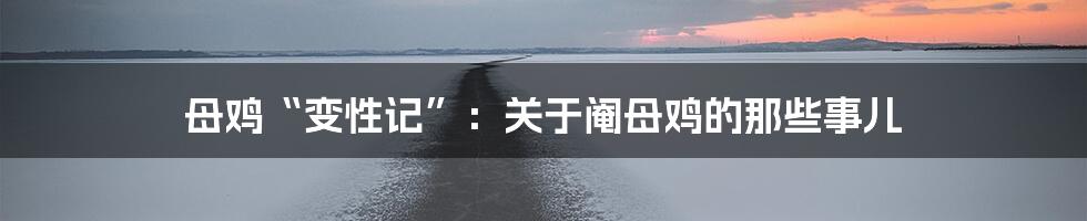 母鸡“变性记”:关于阉母鸡的那些事儿