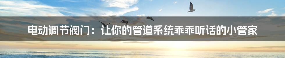 电动调节阀门:让你的管道系统乖乖听话的小管家