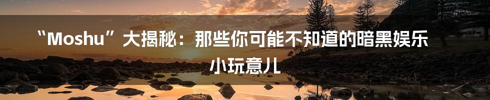 “Moshu”大揭秘:那些你可能不知道的暗黑娱乐小玩意儿