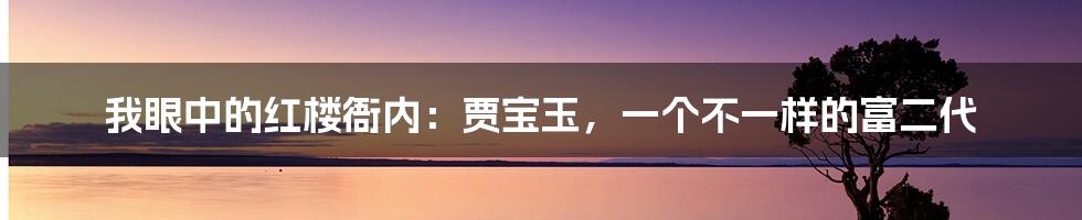 我眼中的红楼衙内：贾宝玉，一个不一样的富二代