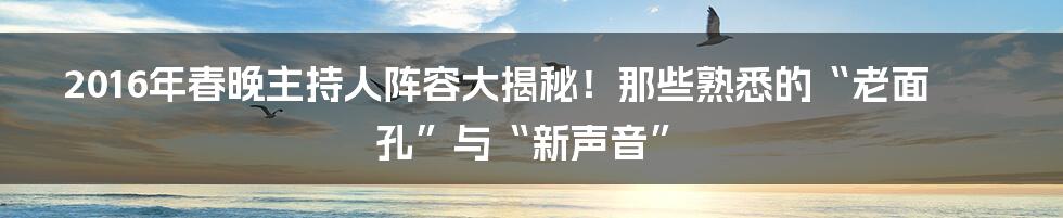 2016年春晚主持人阵容大揭秘！那些熟悉的“老面孔”与“新声音”