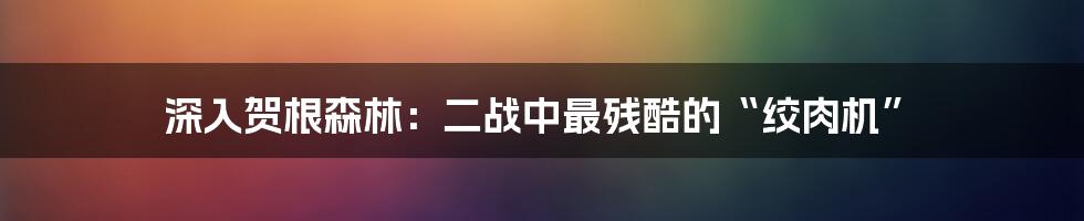 深入贺根森林：二战中最残酷的“绞肉机”