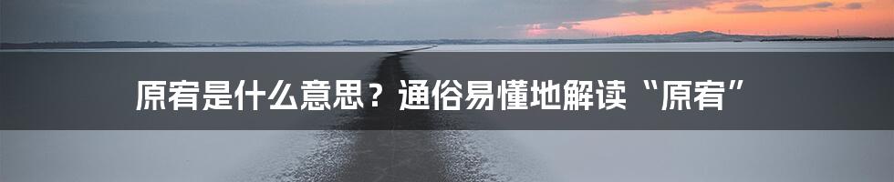 原宥是什么意思?通俗易懂地解读“原宥”