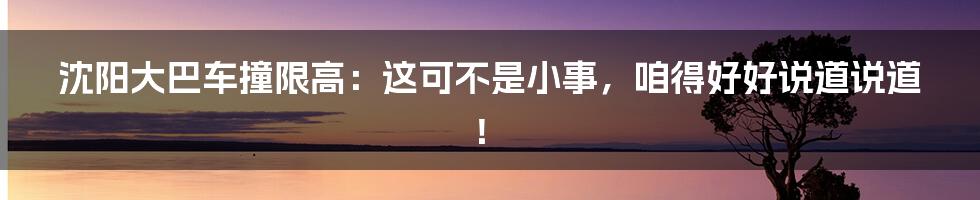 沈阳大巴车撞限高:这可不是小事,咱得好好说道说道!