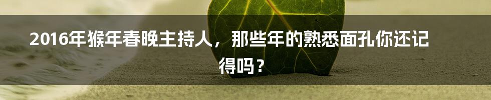 2016年猴年春晚主持人,那些年的熟悉面孔你还记得吗?