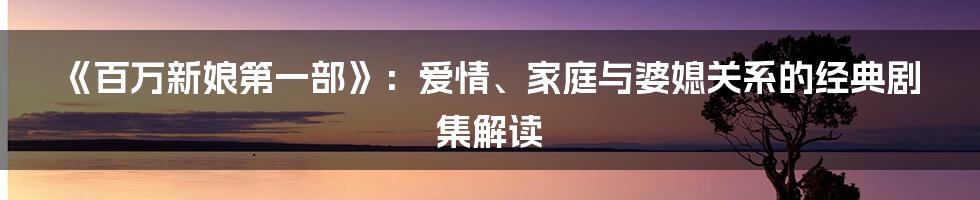 《百万新娘第一部》:爱情、家庭与婆媳关系的经典剧集解读