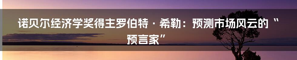 诺贝尔经济学奖得主罗伯特·希勒:预测市场风云的“预言家”