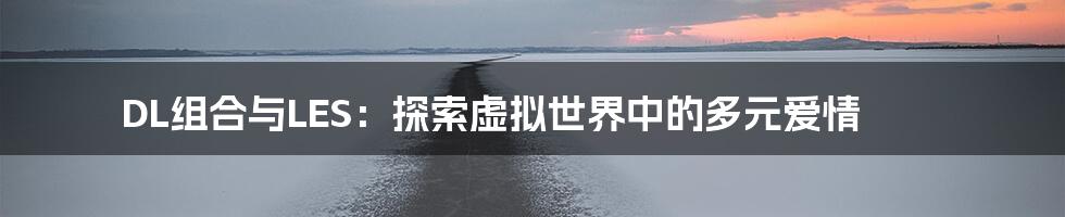 DL组合与LES：探索虚拟世界中的多元爱情