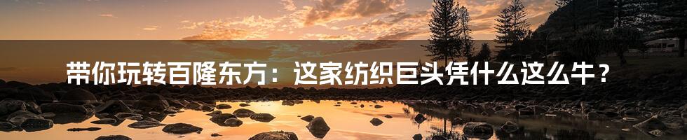带你玩转百隆东方:这家纺织巨头凭什么这么牛?