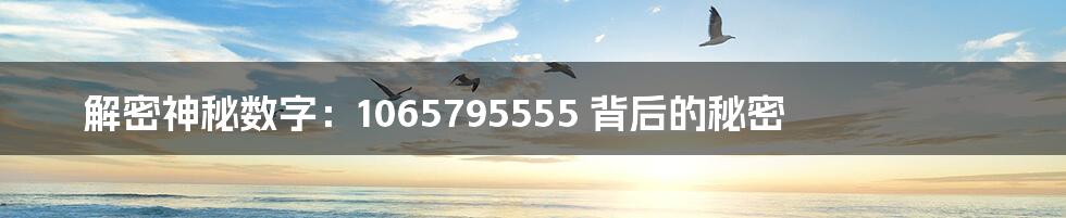 解密神秘数字：1065795555 背后的秘密