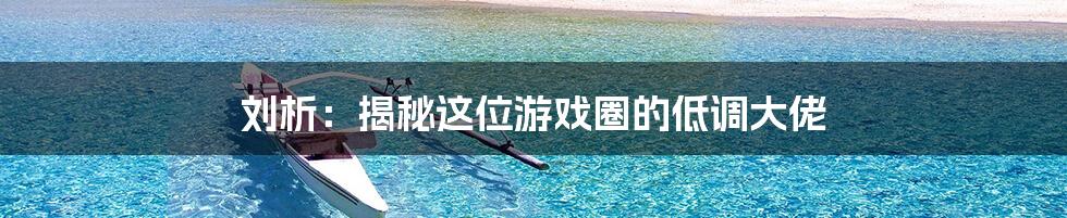 刘析:揭秘这位游戏圈的低调大佬