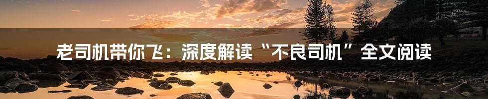 老司机带你飞:深度解读“不良司机”全文阅读