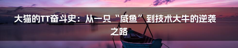 大猫的TT奋斗史:从一只“咸鱼”到技术大牛的逆袭之路
